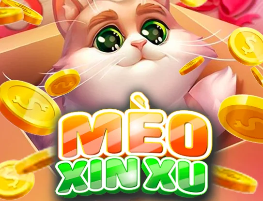Mèo Xin Xu