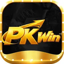 Pkwin icon